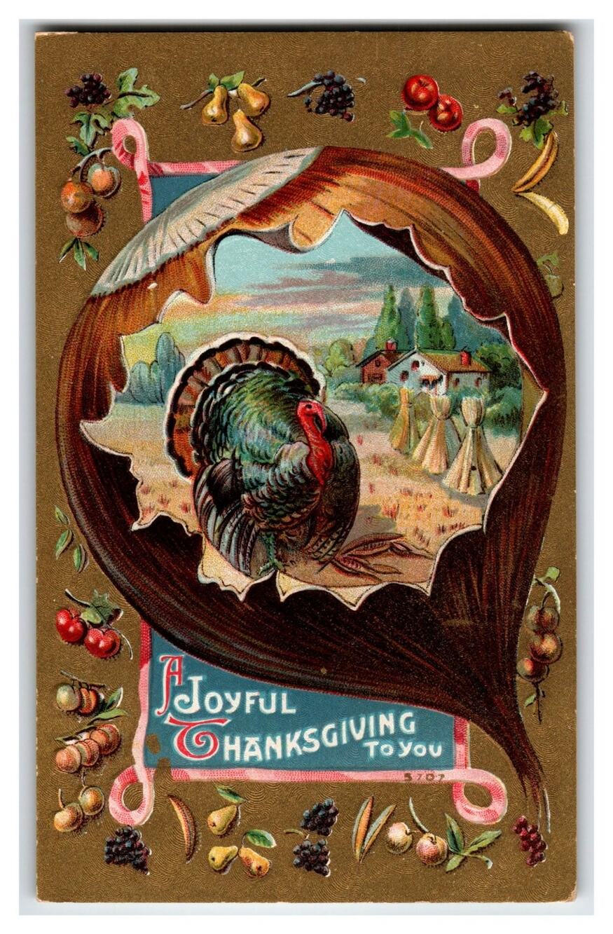 Vintage Embossed Thanksgiving Turkey Farm Scene Postcard Pre-1910 Holiday